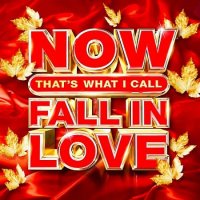 Now That's What I Call Fall In Love (2020) MP3