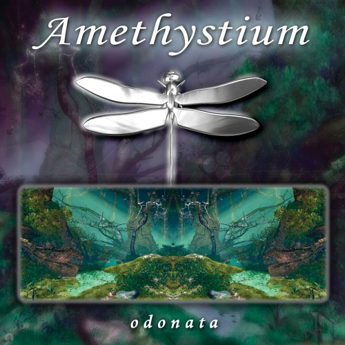 Amethystium-Odonata